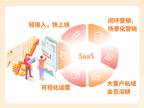 高效的SAAS系統(tǒng)